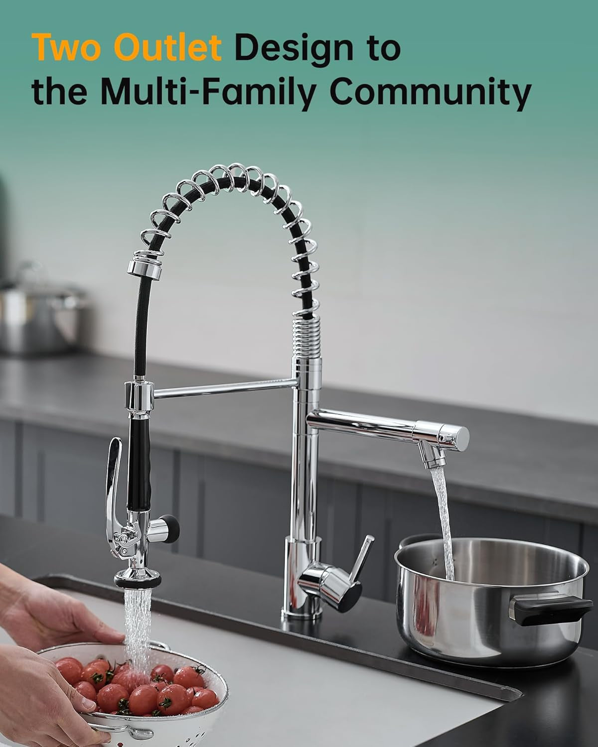 Fapully Chrome Kitchen Faucet with Sprayer,Commercial Single Handle Pull down Kitchen Sink Faucet