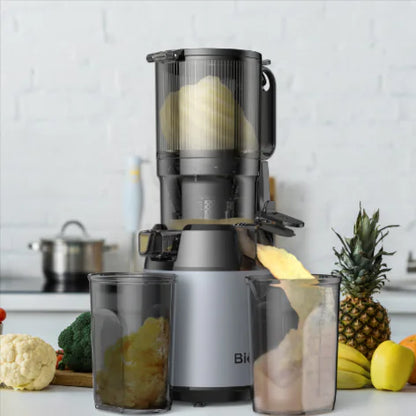 Wide-Mouth High-Capacity Juicer